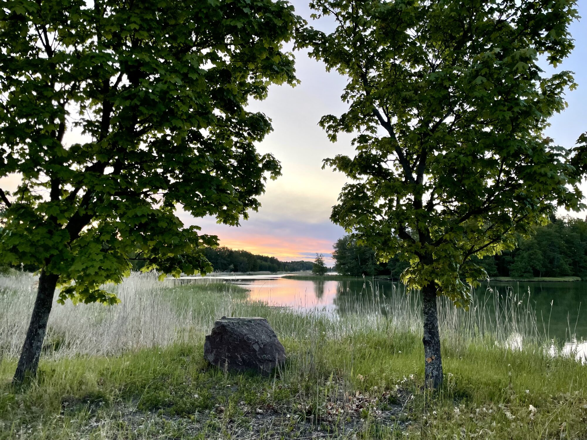 Valokuvaaja: Juhani Peltonen