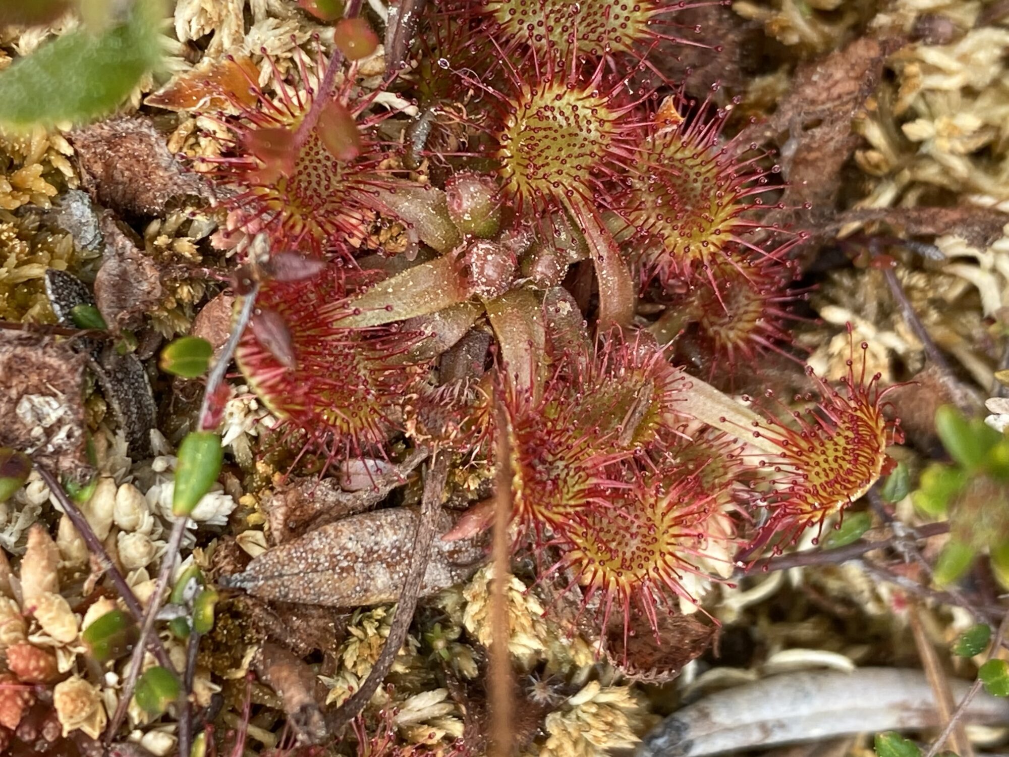 Valokuvaaja: Markku Ranta-Eilola