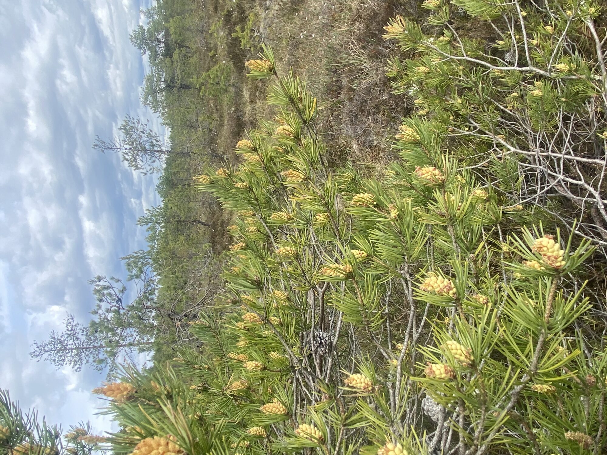 Valokuvaaja: Markku Ranta-Eilola