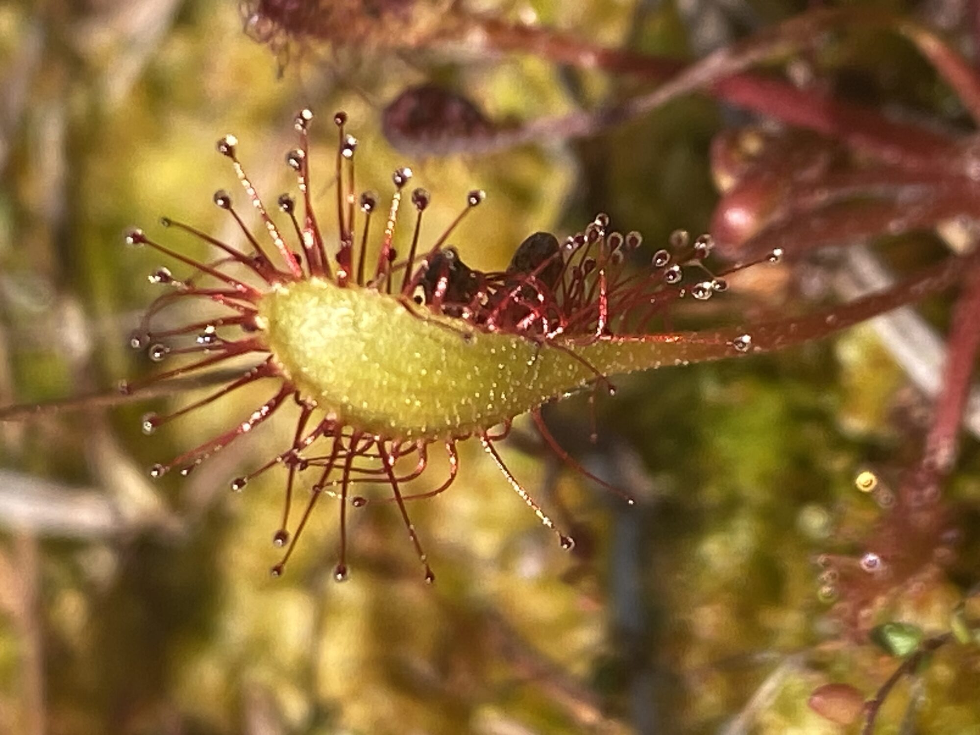 Valokuvaaja: Markku Ranta-Eilola