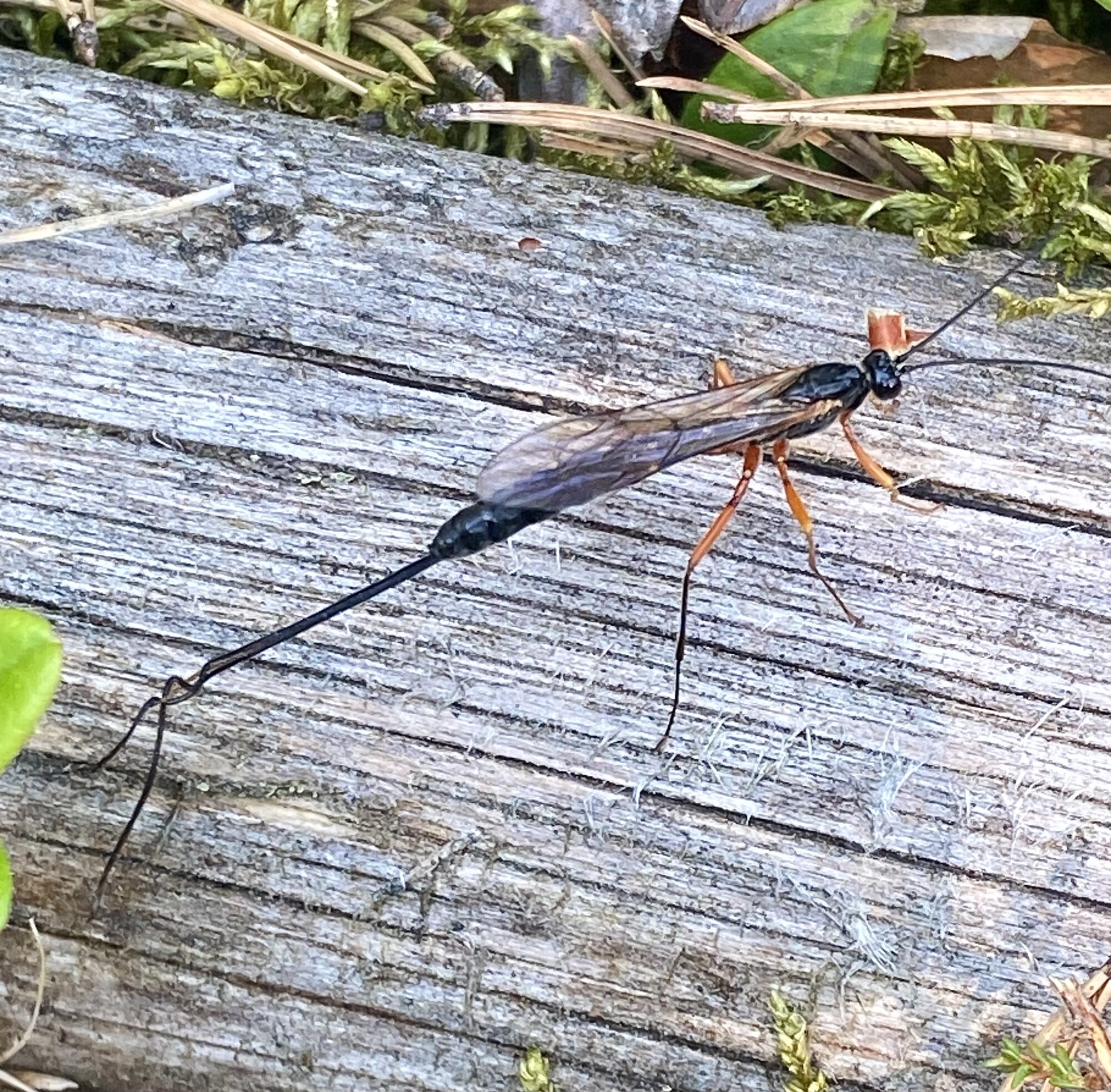 Valokuvaaja: Markku Ranta-Eilola