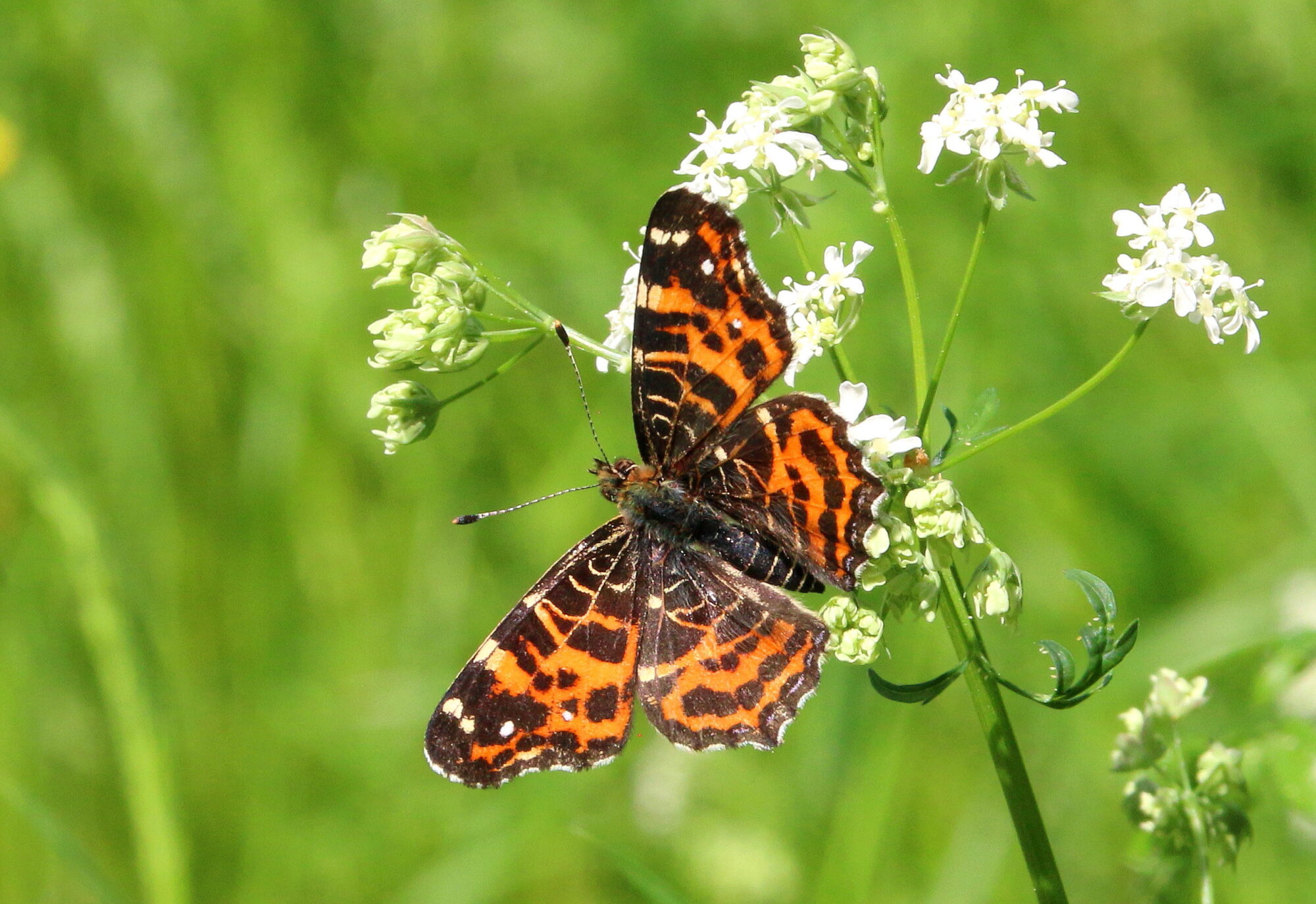 Valokuvaaja: Tuukka Pahtamaa