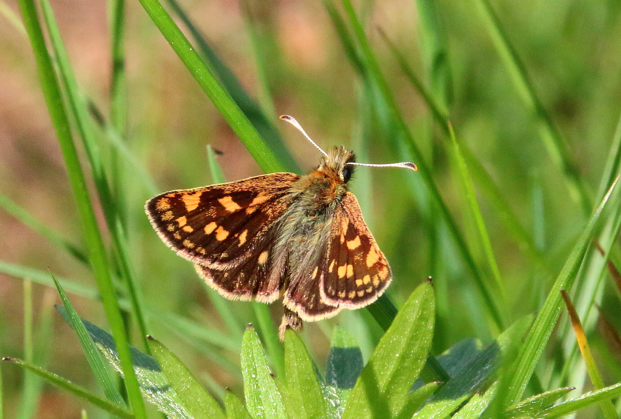 Valokuvaaja: Tuukka Pahtamaa