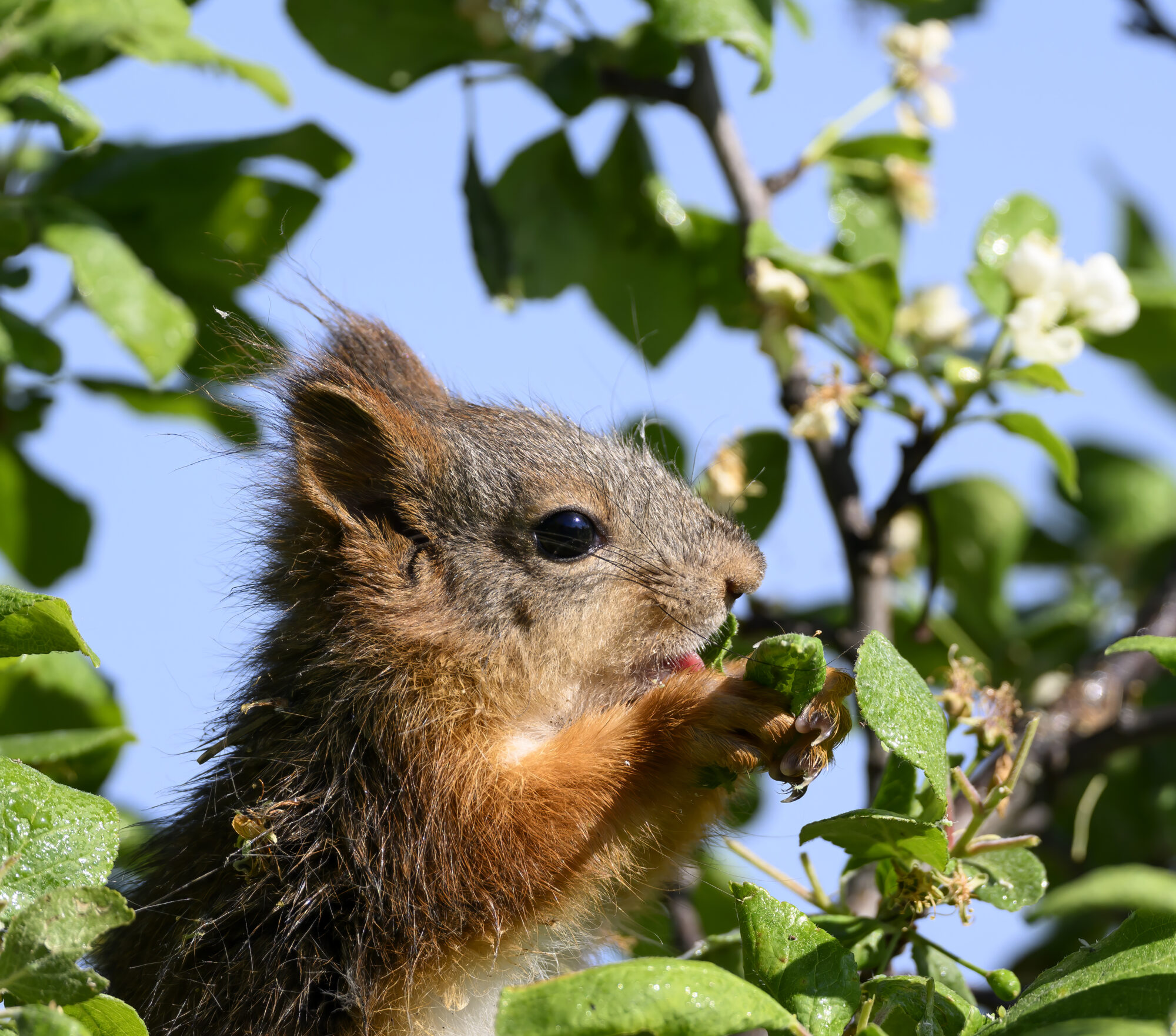 Valokuvaaja: Markku Paananen