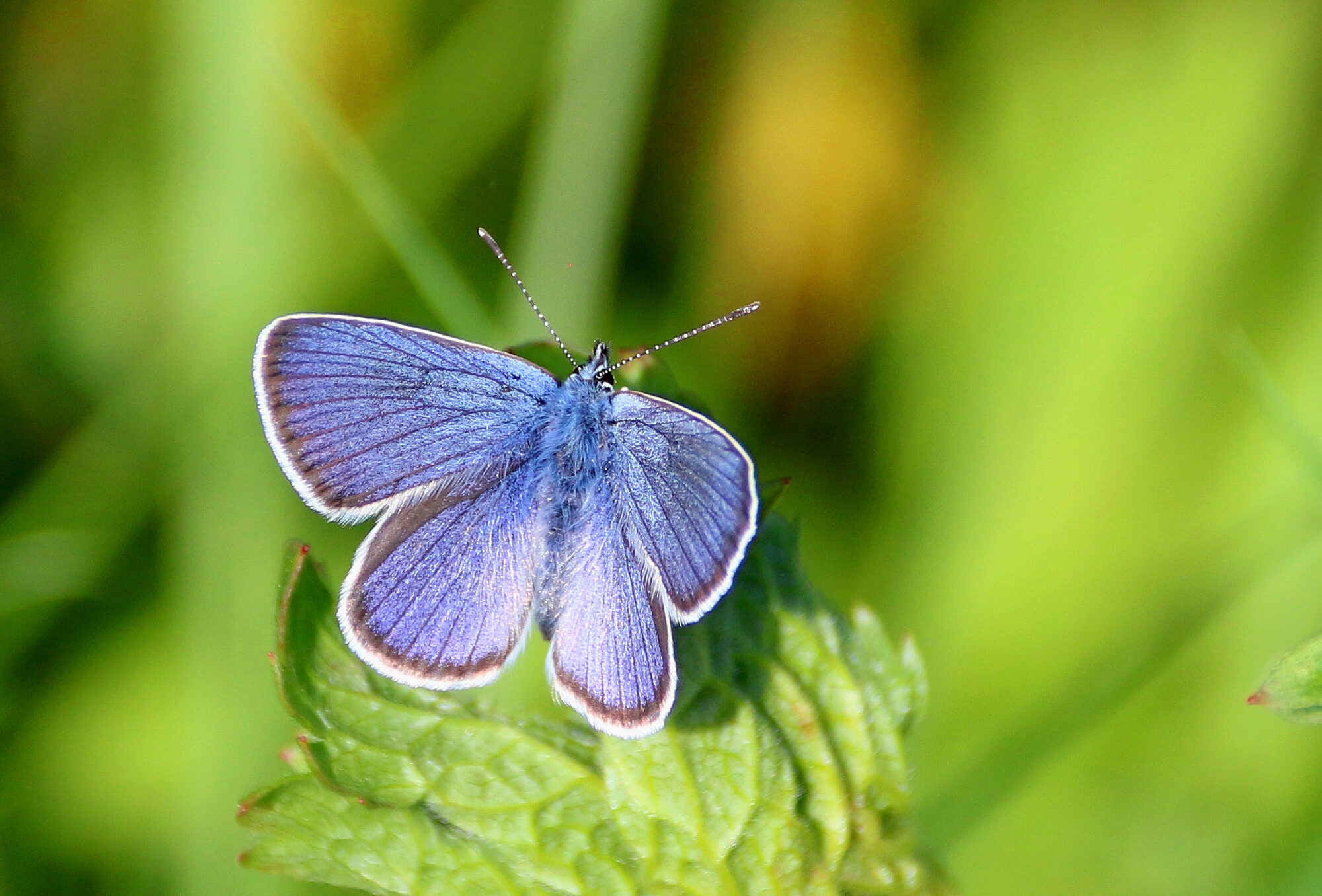 Valokuvaaja: Tuukka Pahtamaa