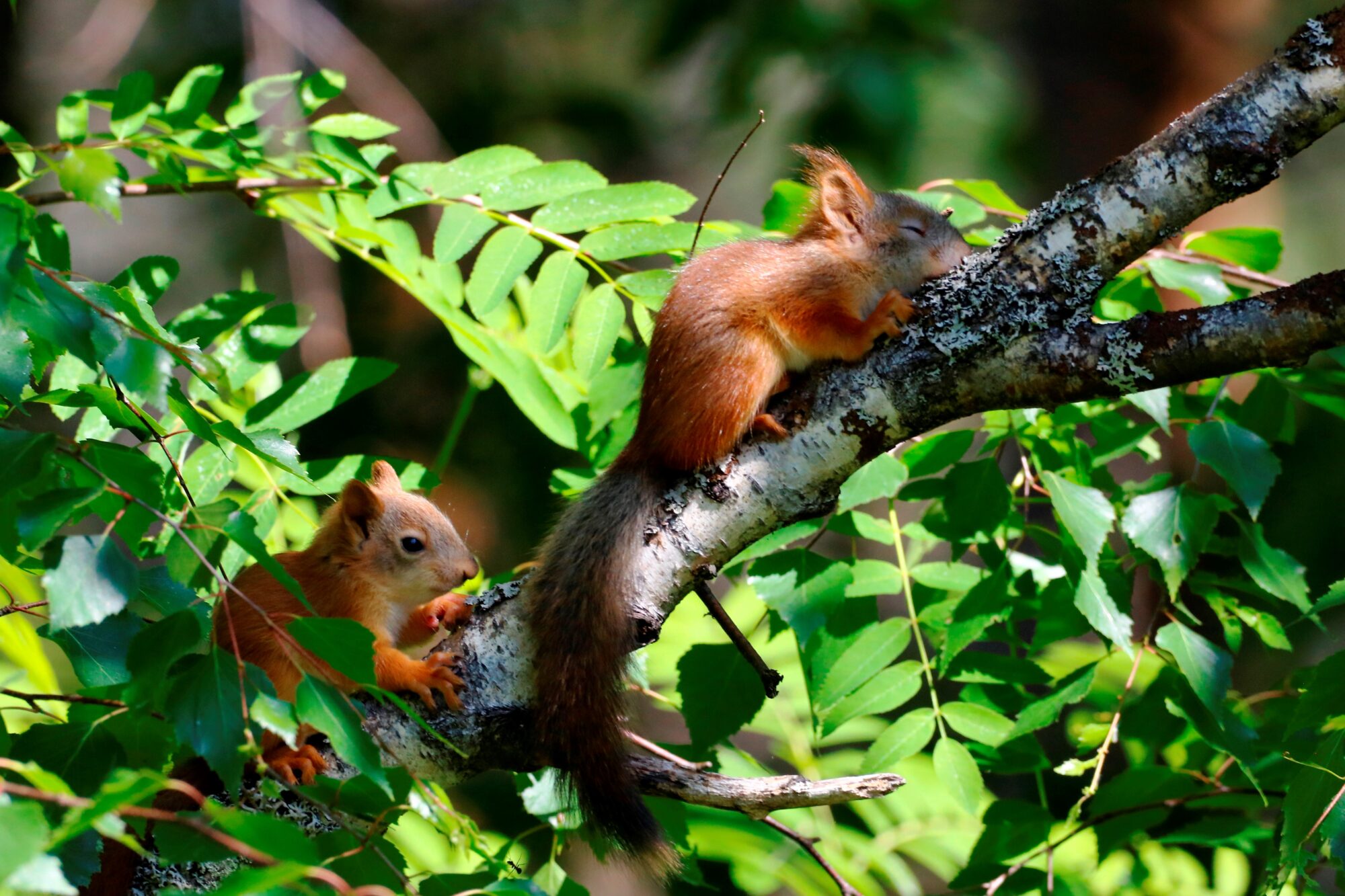 Valokuvaaja: Matti Eskelinen Valokuvaaja: Matti Eskelinen