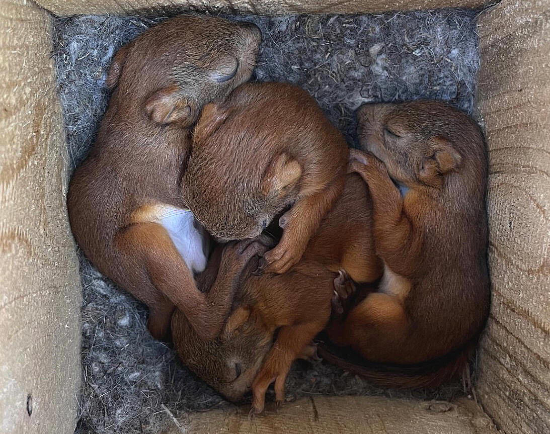 Valokuvaaja: Tuukka Pahtamaa