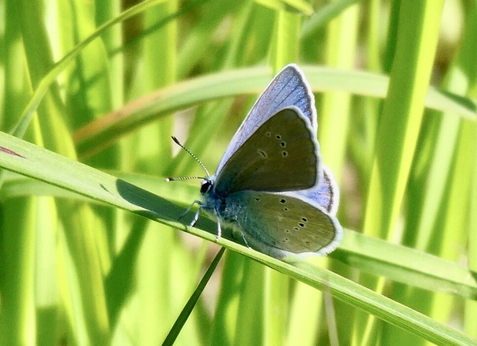 Valokuvaaja: Liisa Niiva-Korpela