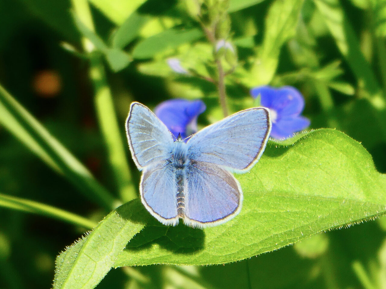 Valokuvaaja: Liisa Niiva-Korpela