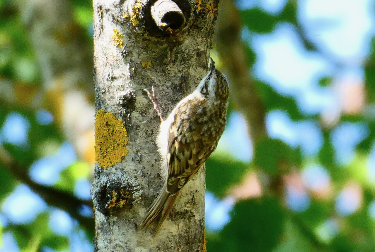 Valokuvaaja: Liisa Niiva-Korpela