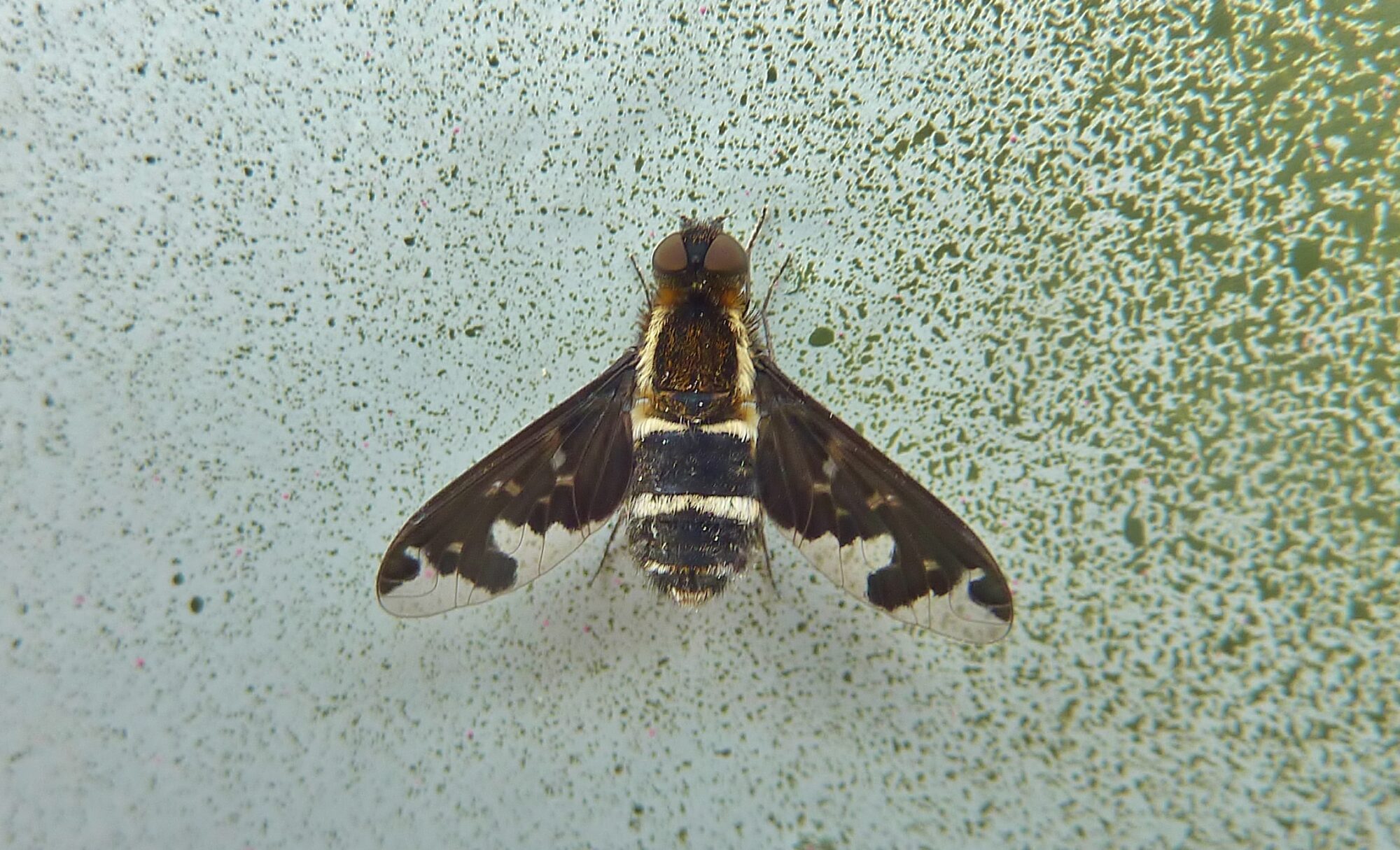 Valokuvaaja: Markku Pelkonen