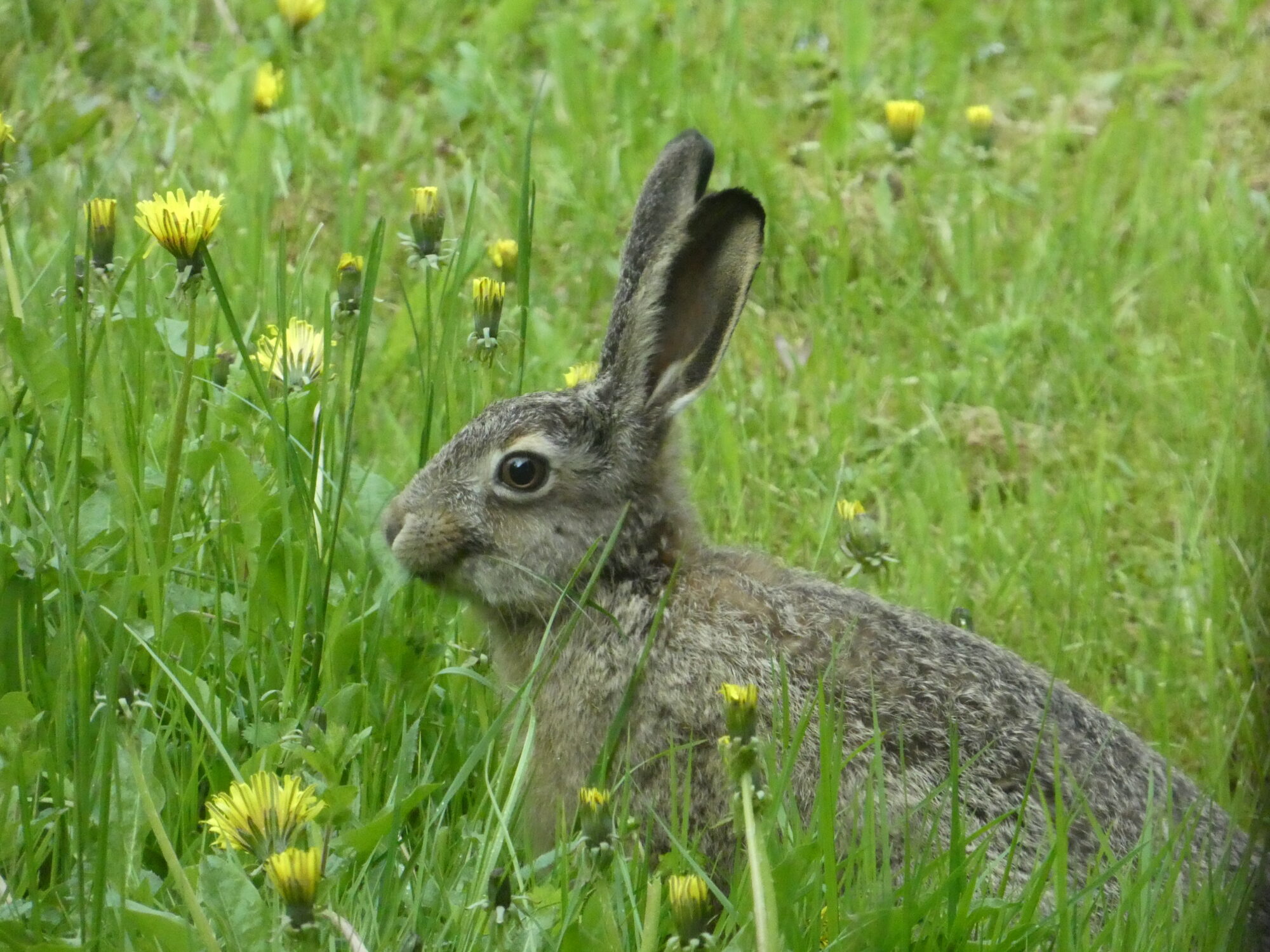 Valokuvaaja: Anja Mustamaa