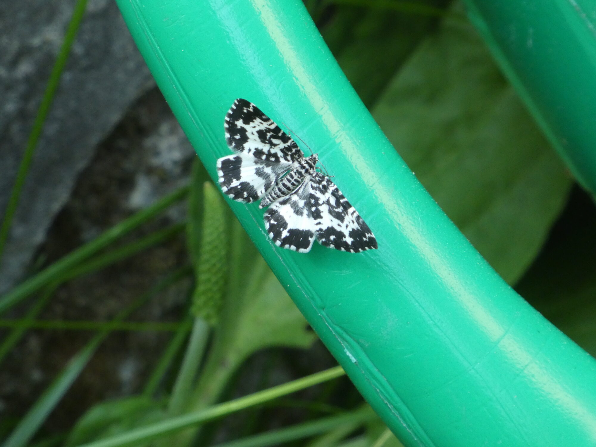 Valokuvaaja: Anja Mustamaa