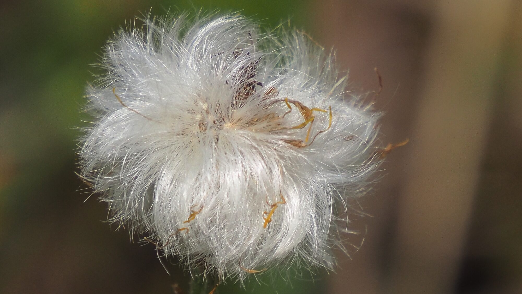 Valokuvaaja: Arja Valtonen