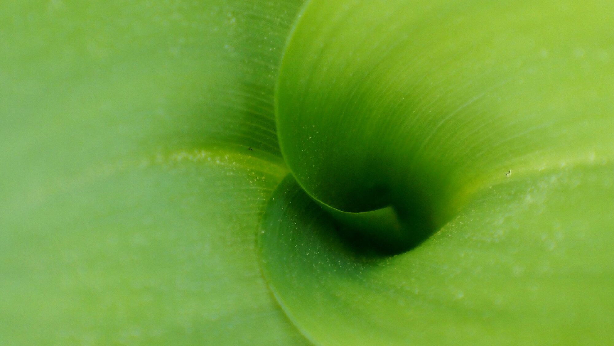 Valokuvaaja: Arja Valtonen