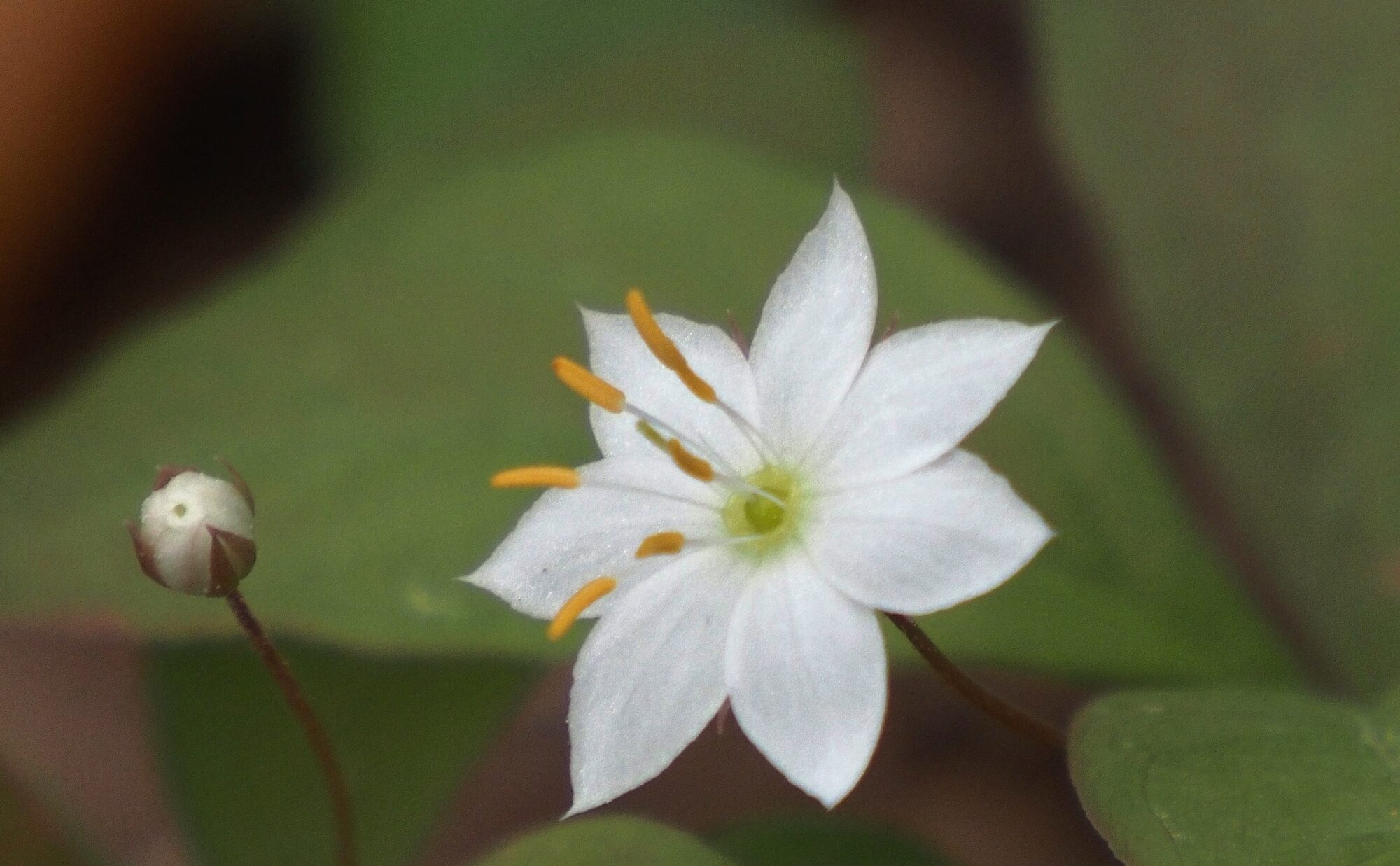 Valokuvaaja: Arja Valtonen