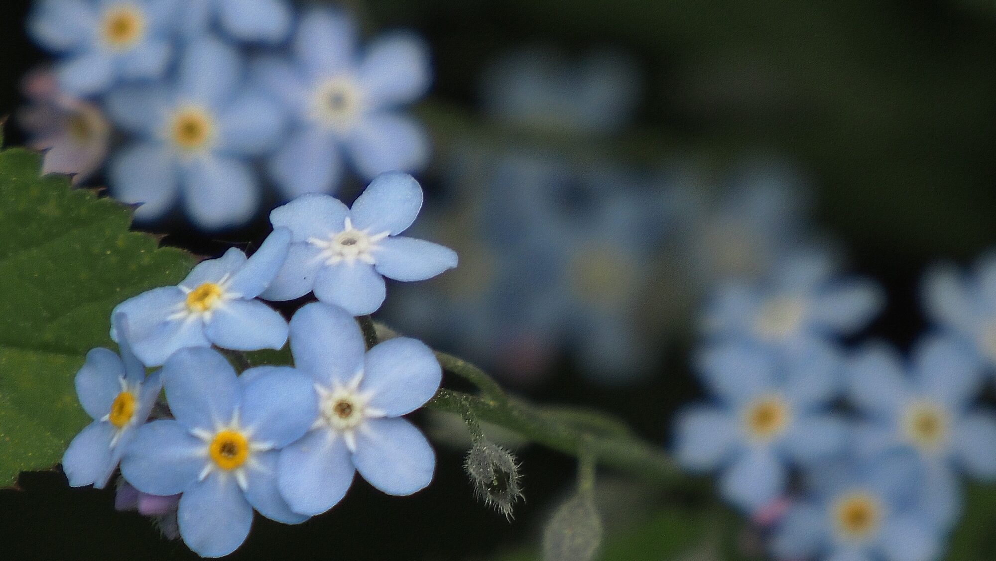 Valokuvaaja: Arja Valtonen