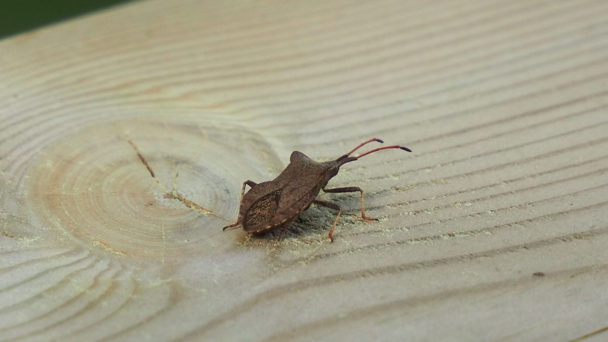 Valokuvaaja: Martti Valtonen