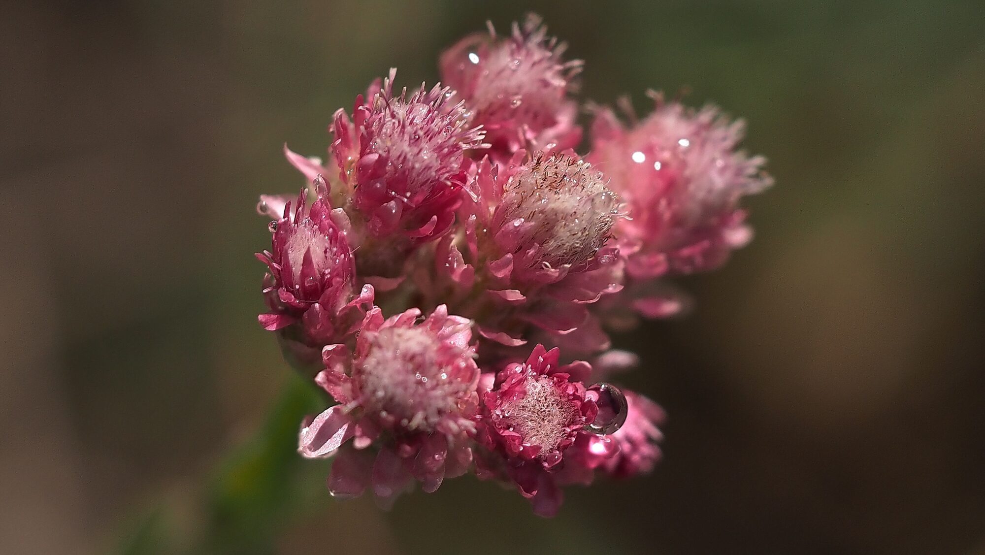 Valokuvaaja: Arja Valtonen