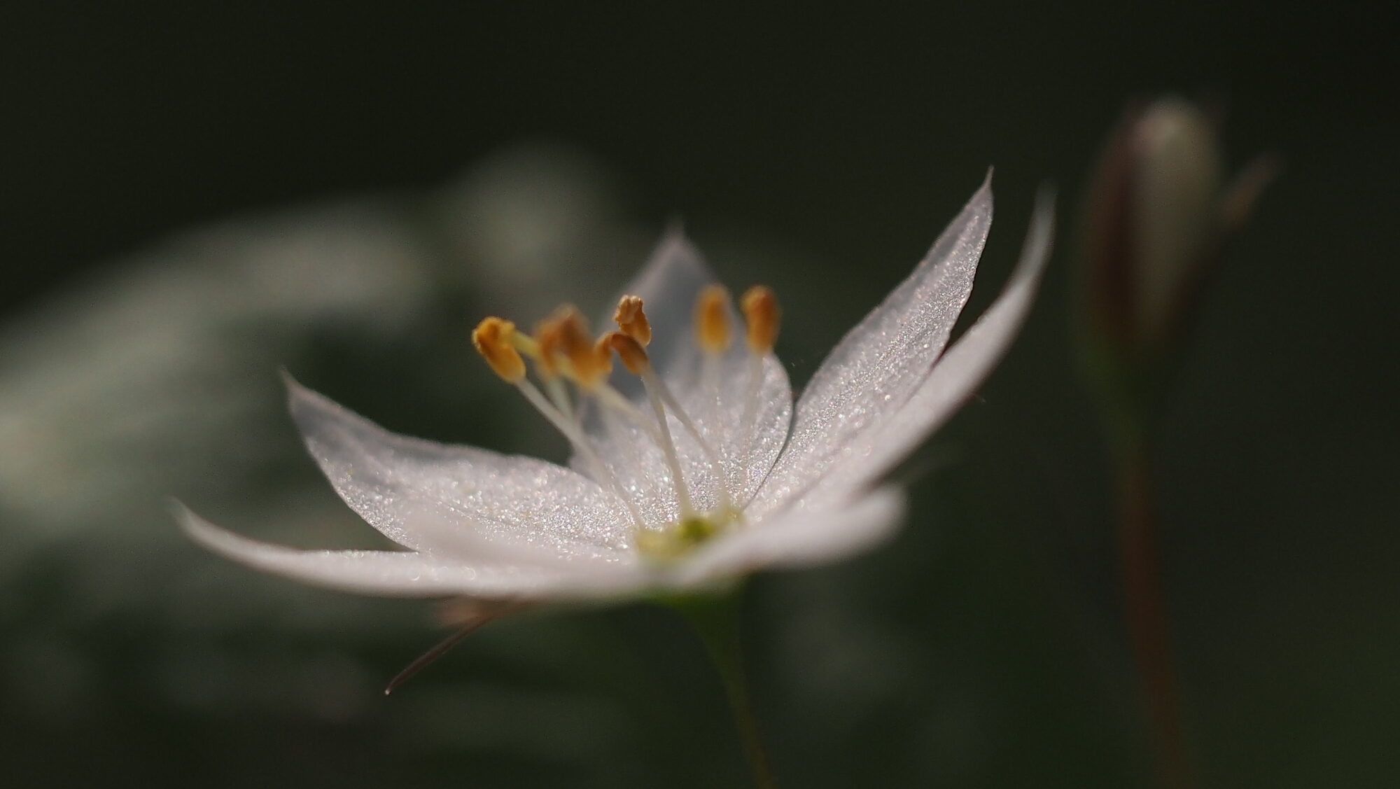 Valokuvaaja: Arja Valtonen