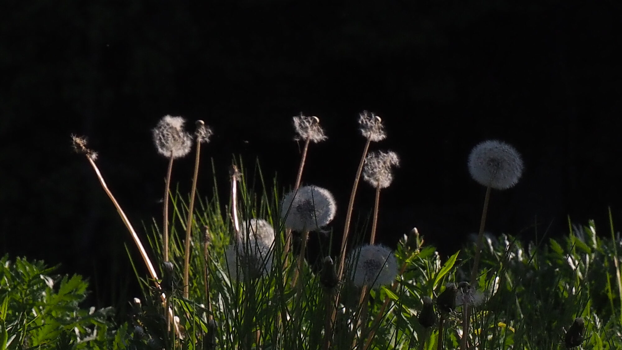 Valokuvaaja: Martti Valtonen