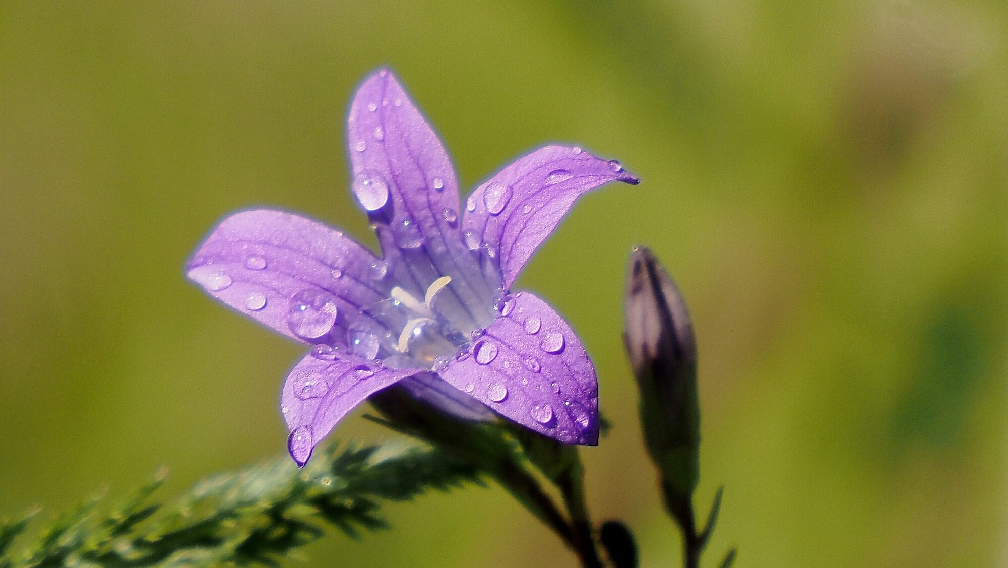 Valokuvaaja: Arja Valtonen Valokuvaaja: Arja Valtonen