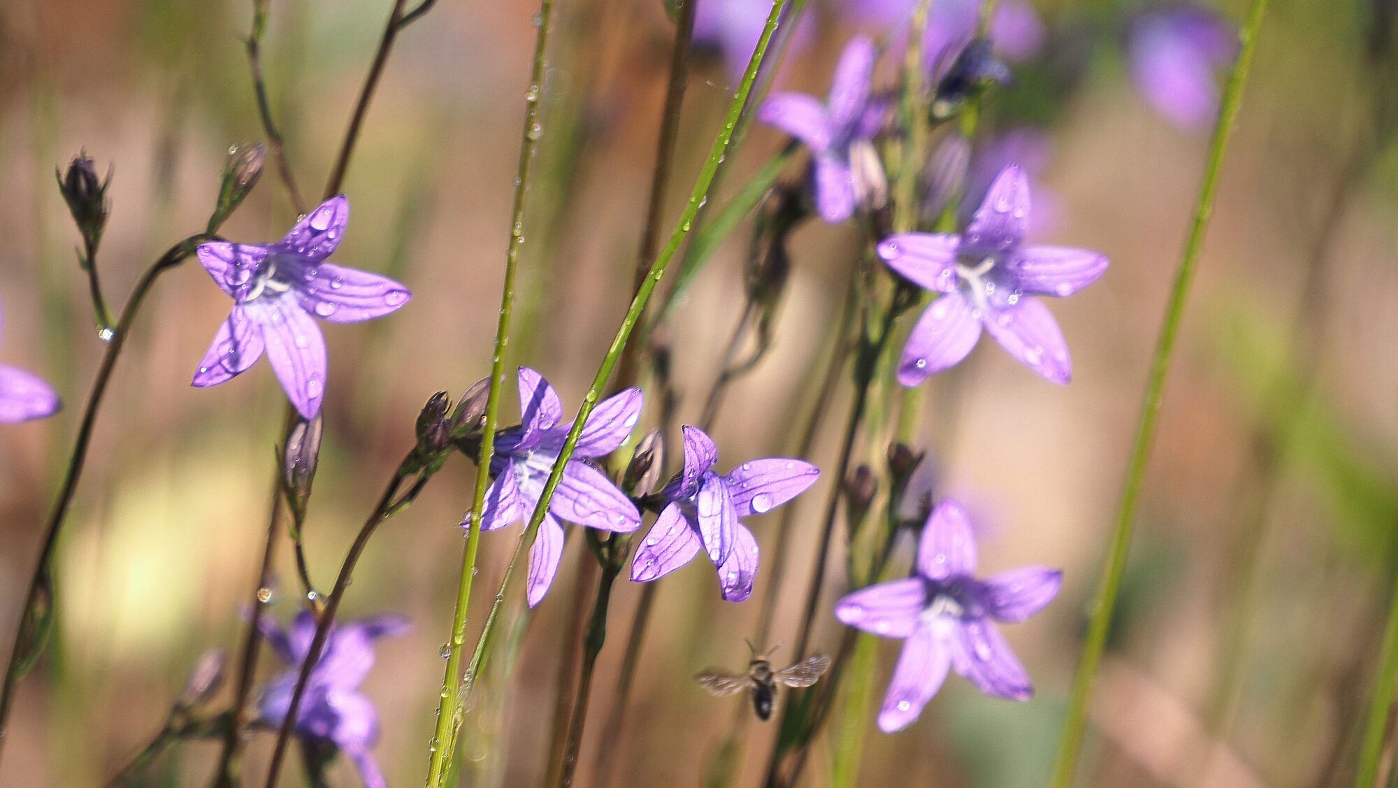 Valokuvaaja: Arja Valtonen