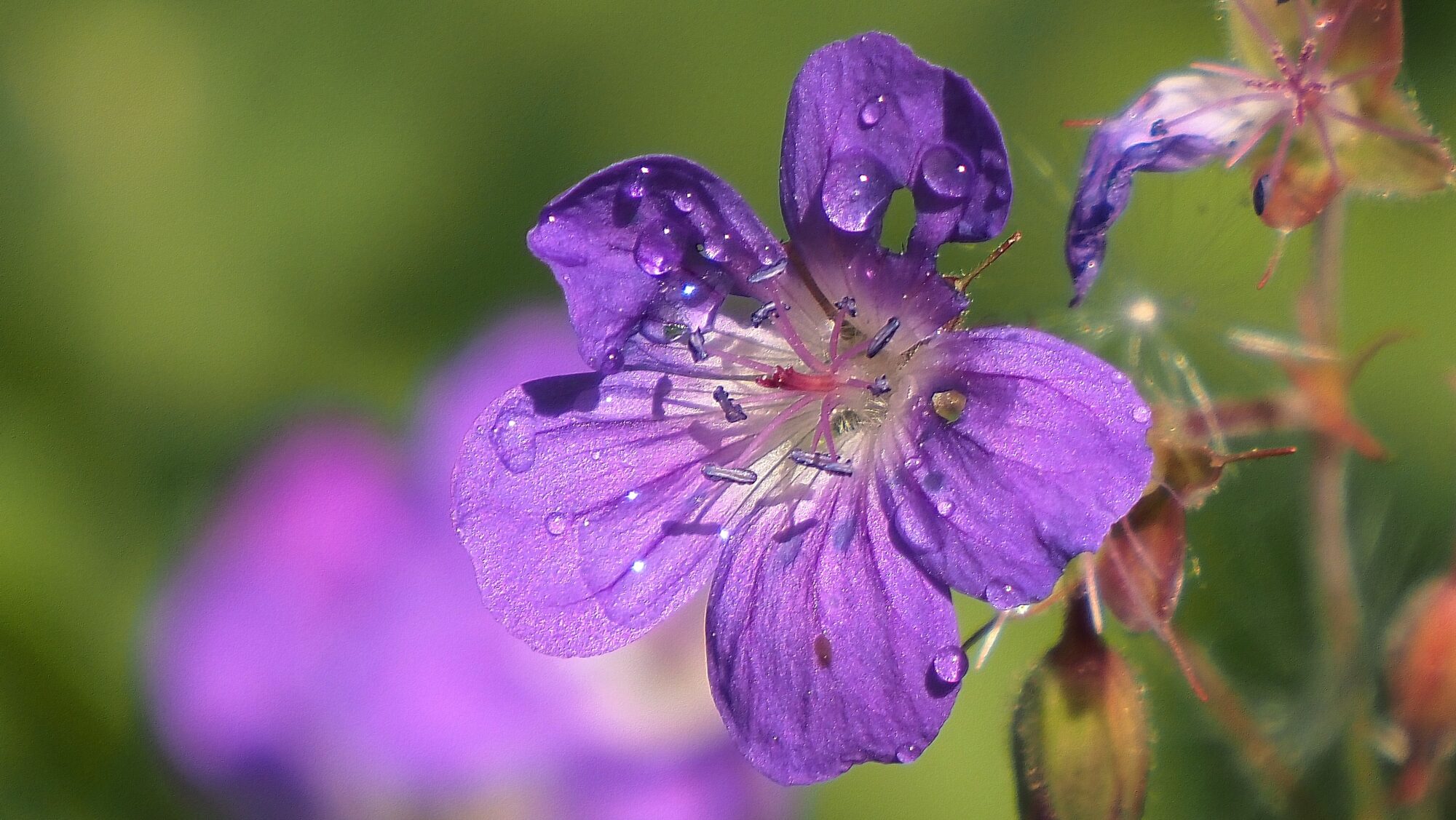 Valokuvaaja: Arja Valtonen