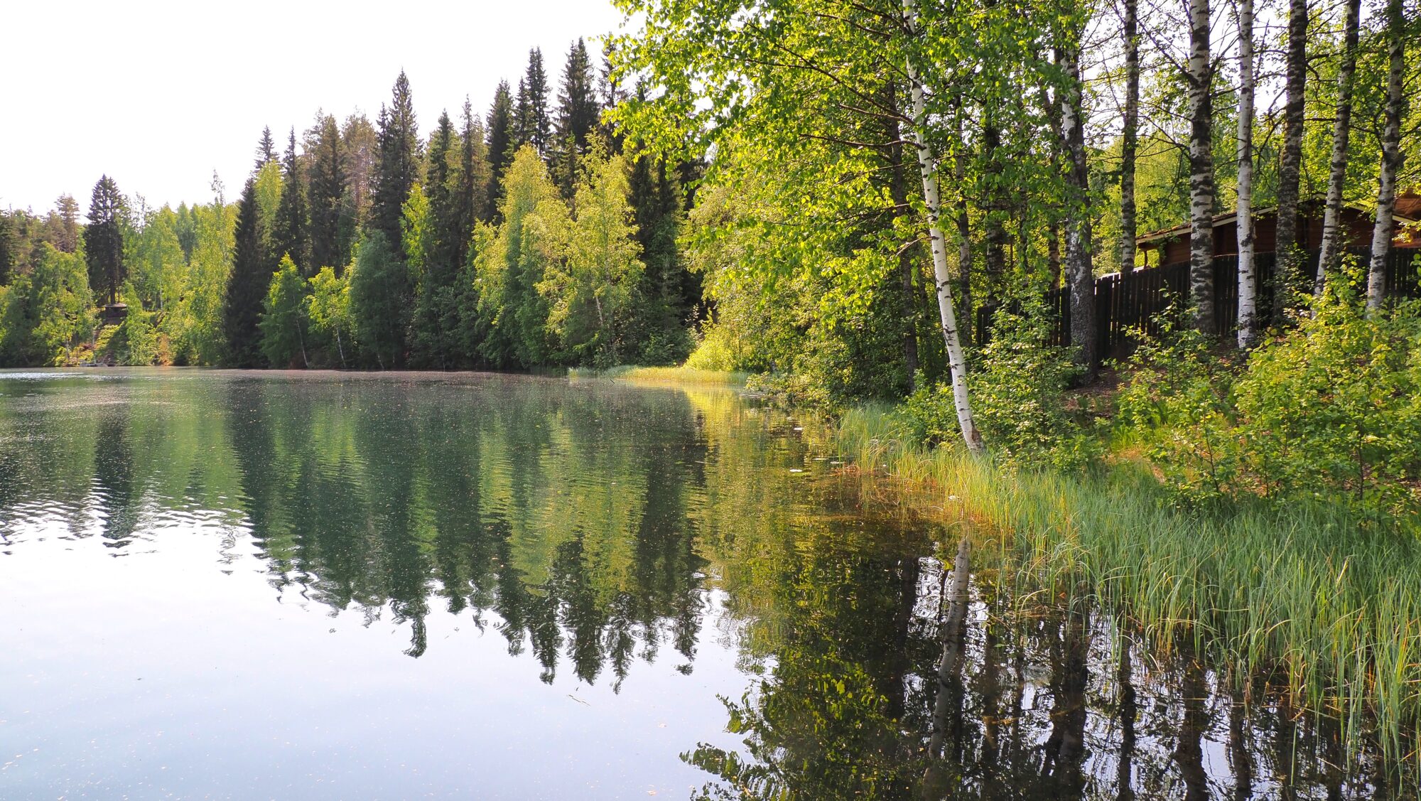 Valokuvaaja: Arja Valtonen