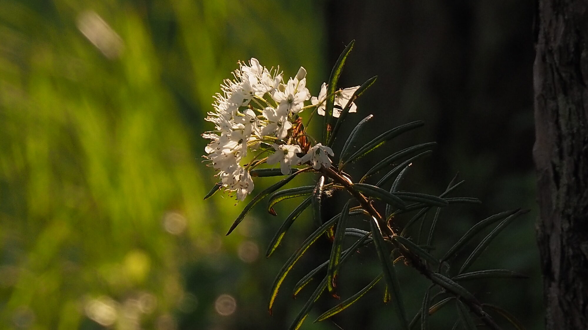 Valokuvaaja: Martti Valtonen