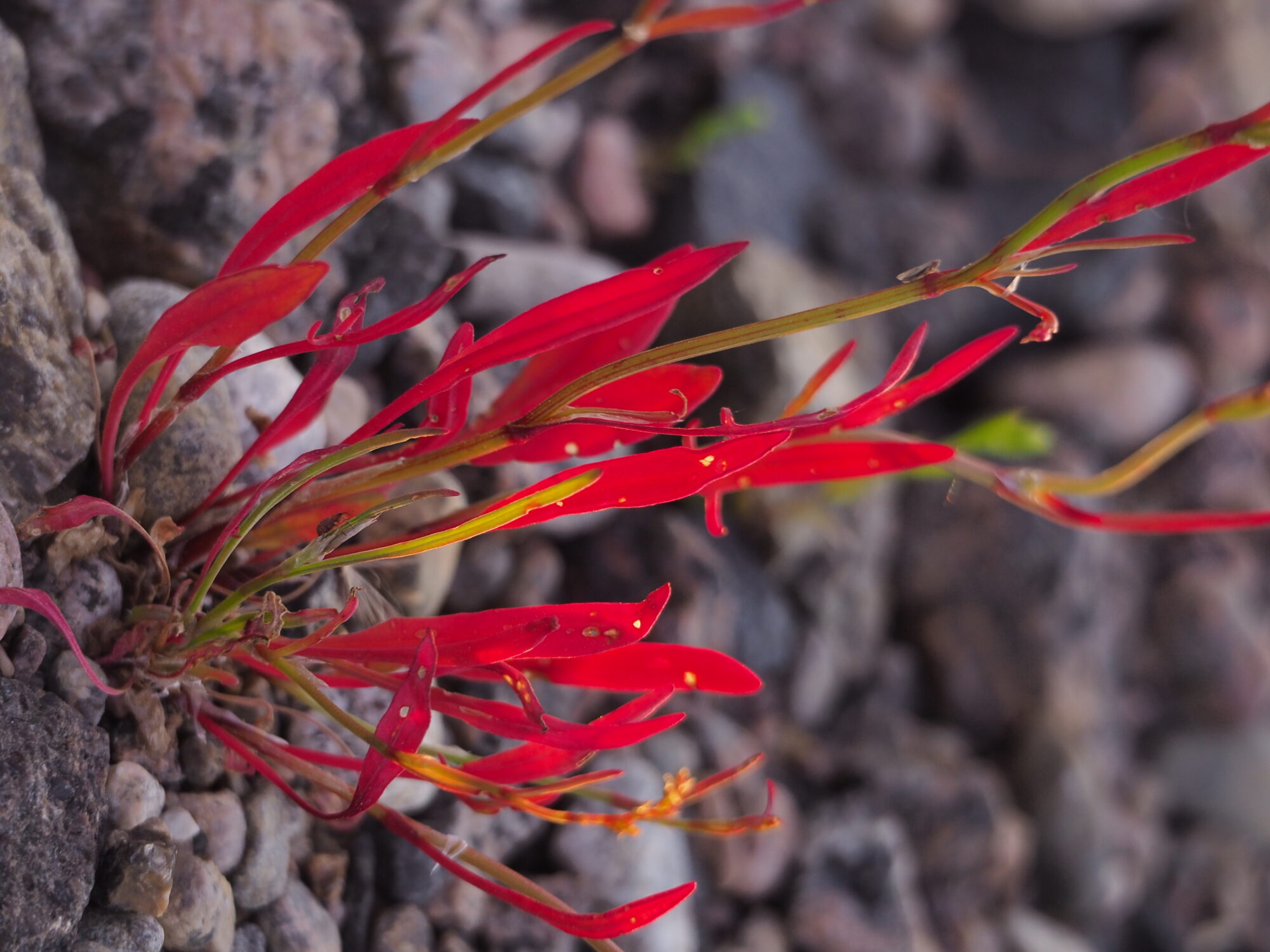 Valokuvaaja: Martti Valtonen