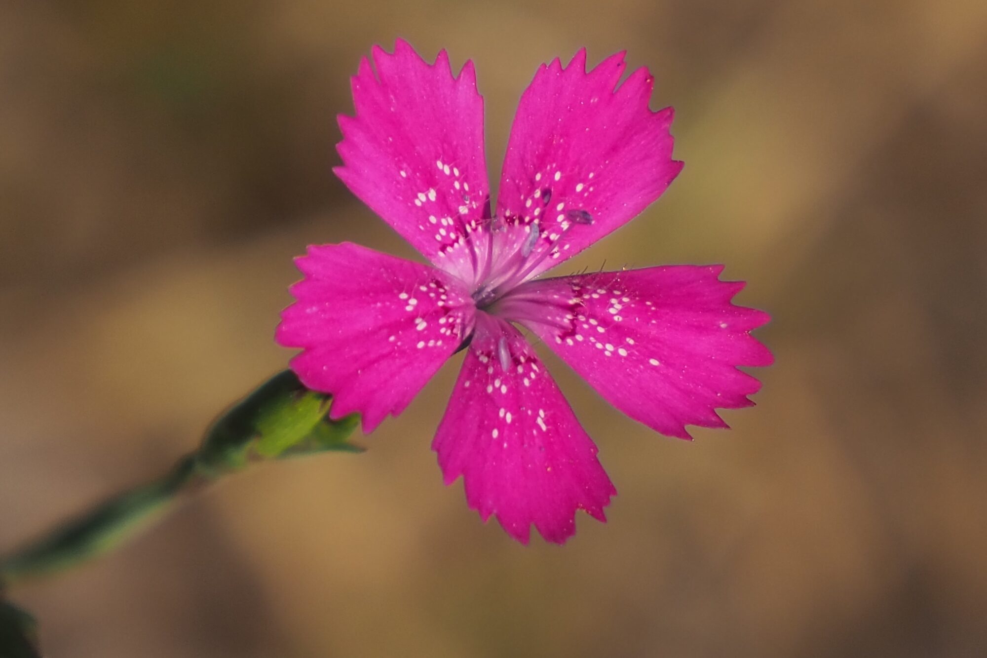 Valokuvaaja: Martti Valtonen