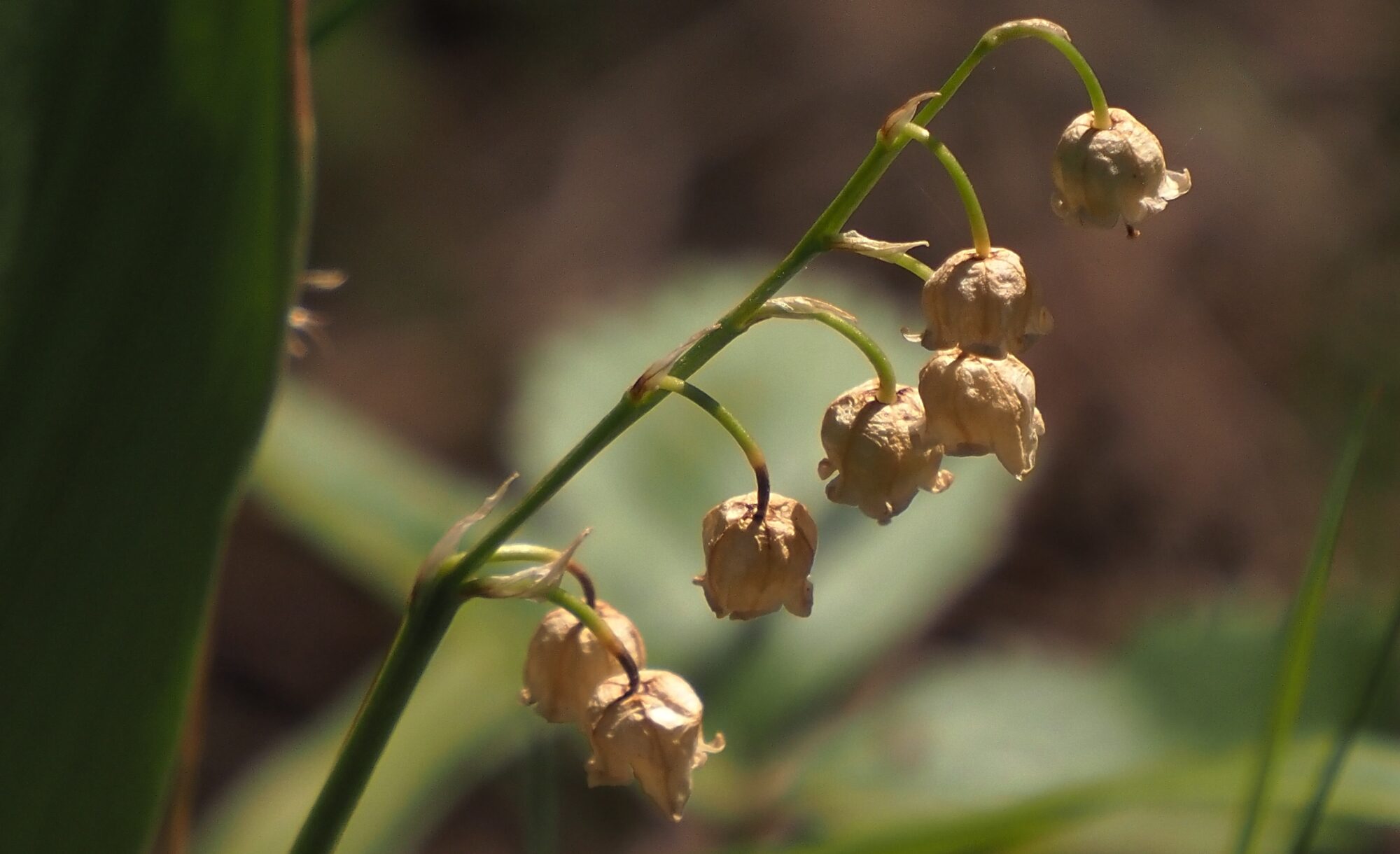 Valokuvaaja: Arja Valtonen