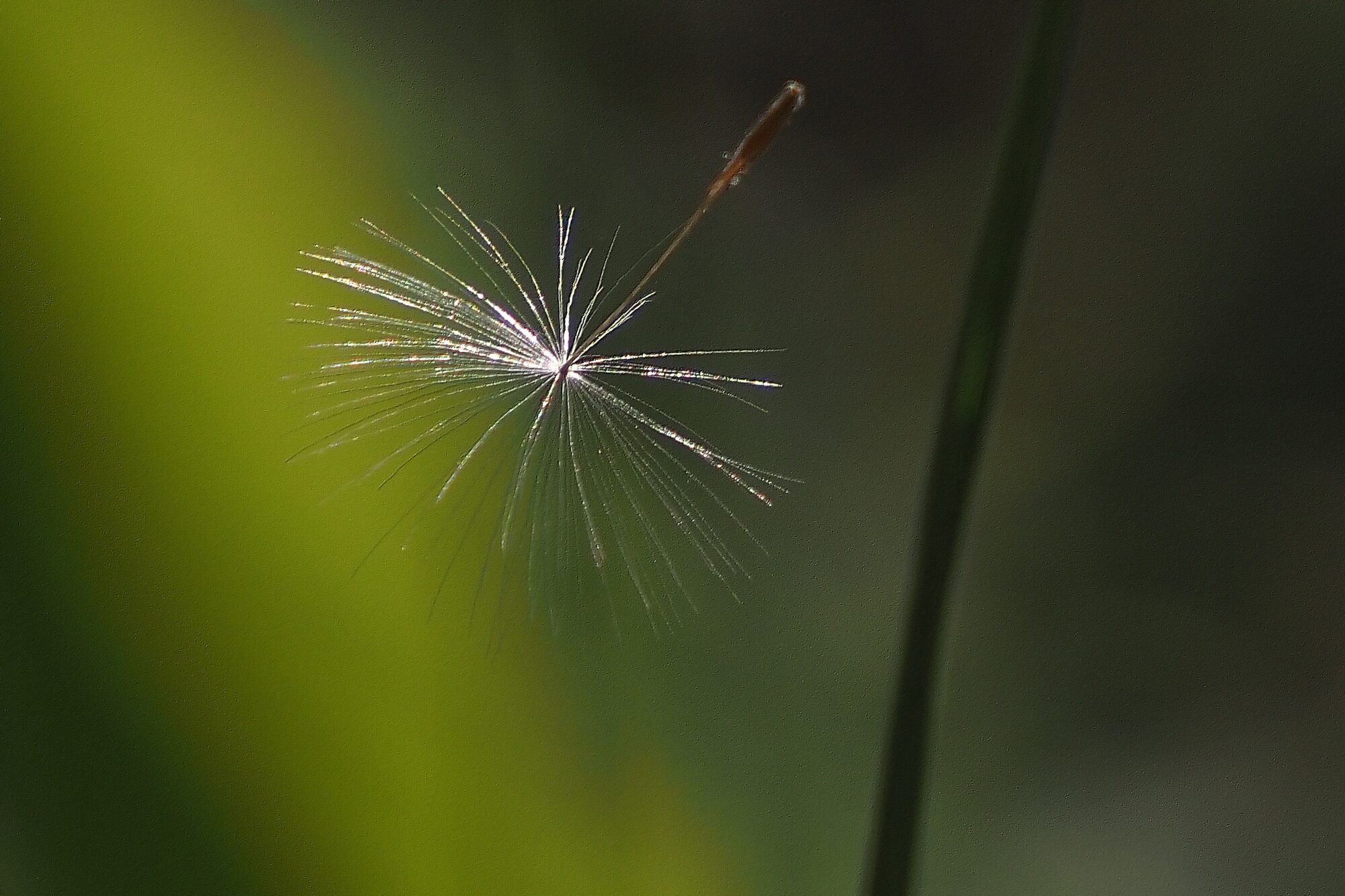 Valokuvaaja: Arja Valtonen Valokuvaaja: Arja Valtonen
