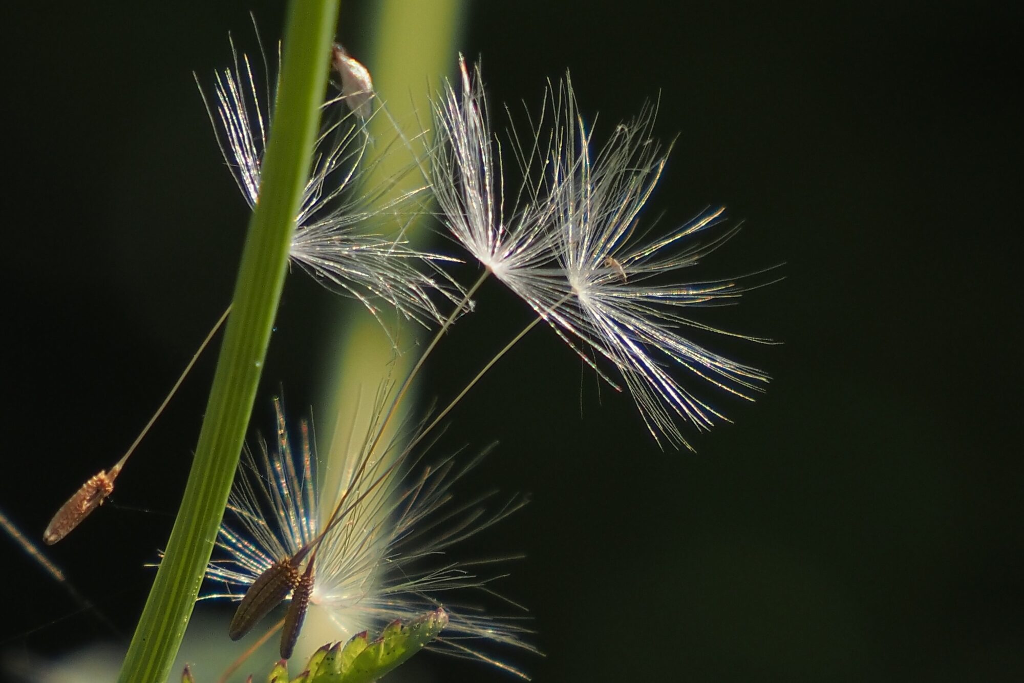 Valokuvaaja: Arja Valtonen