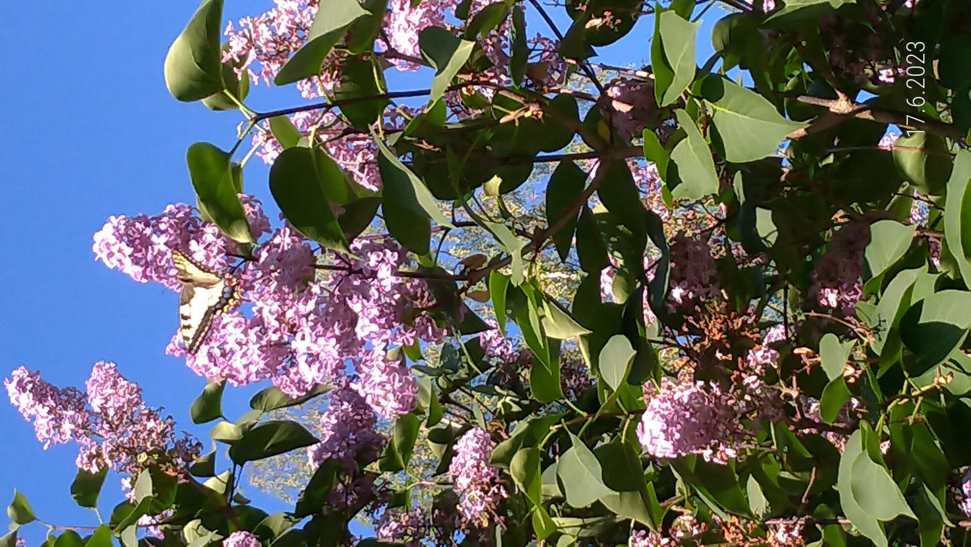 Valokuvaaja: Elina Huttunen