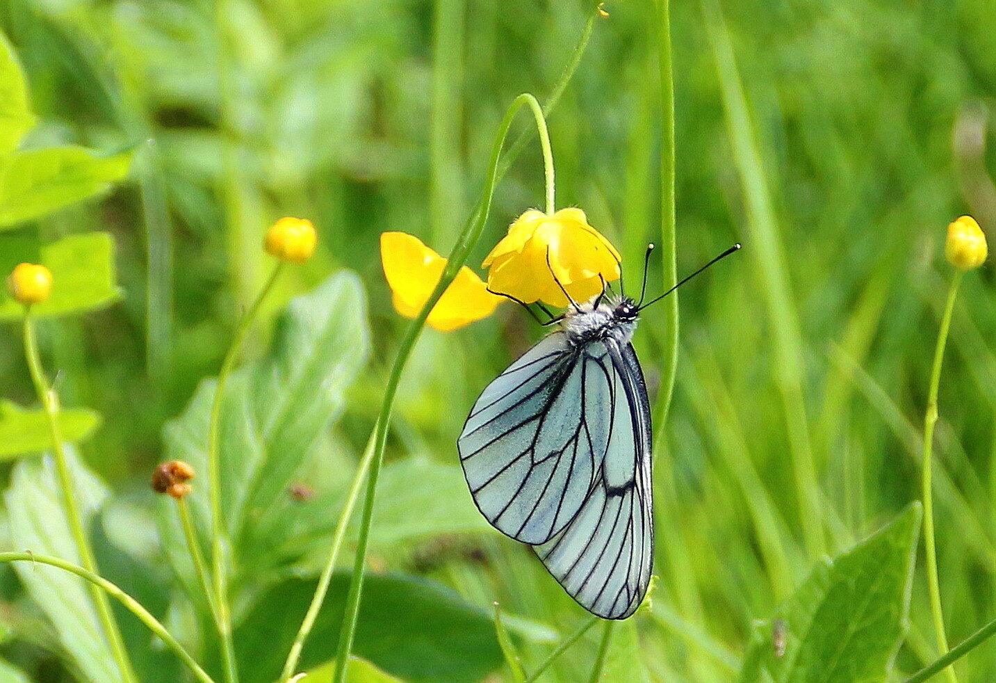 Valokuvaaja: Tuukka Pahtamaa