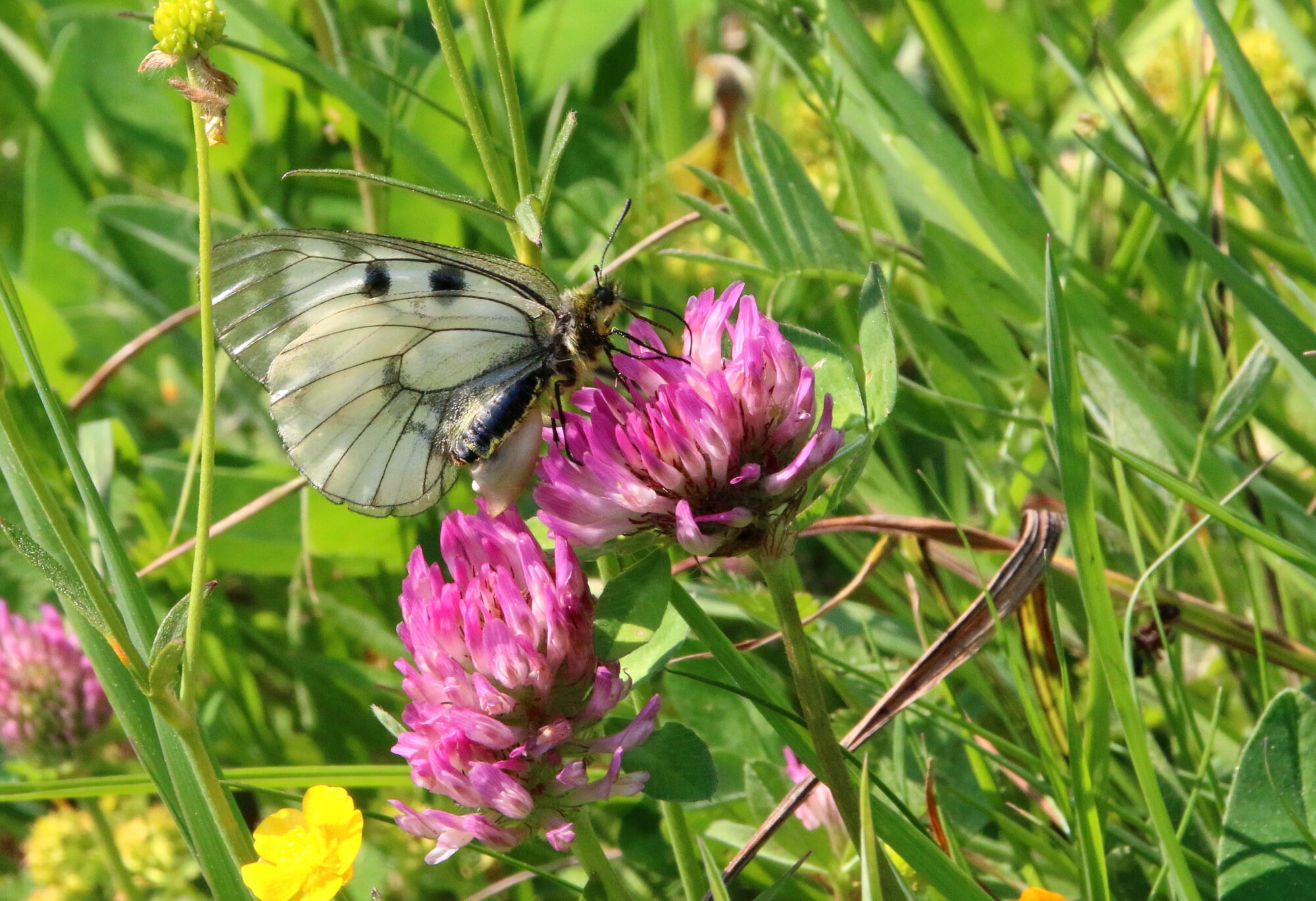 Valokuvaaja: Tuukka Pahtamaa