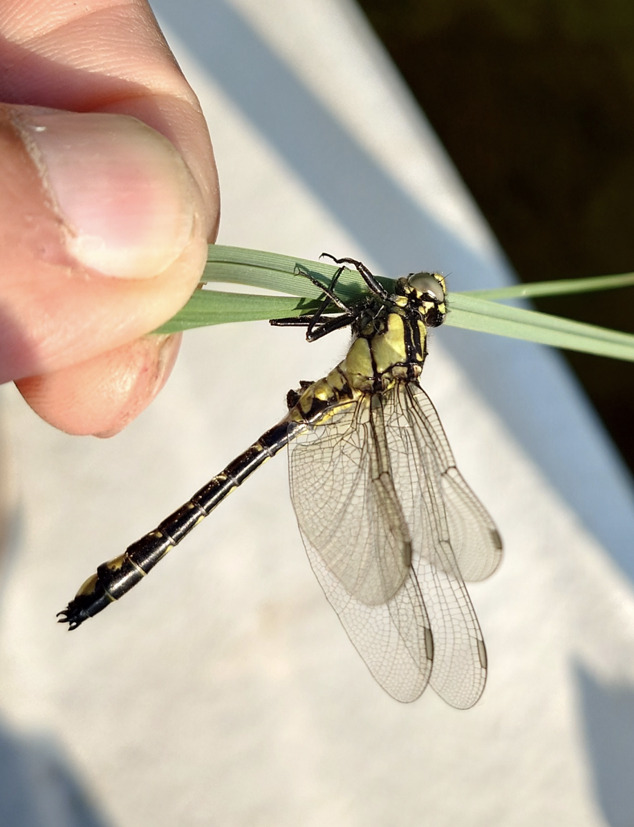 Valokuvaaja: Jouni Roppola.