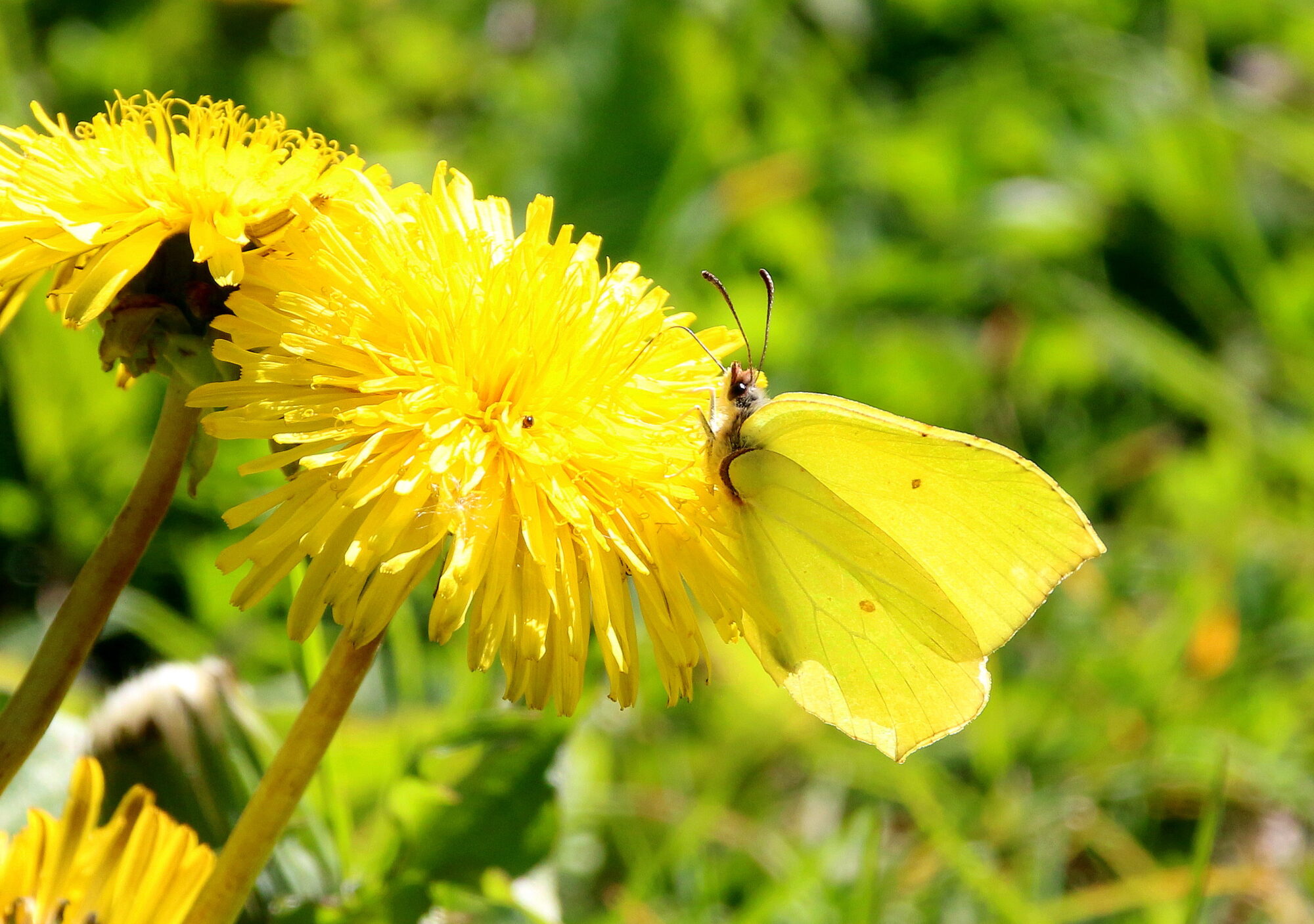 Valokuvaaja: Tuukka Pahtamaa