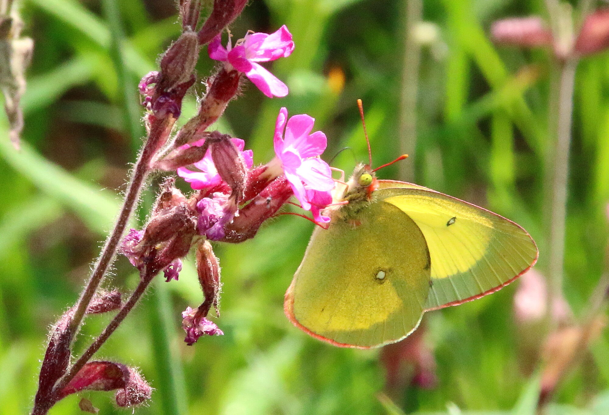 Valokuvaaja: Tuukka Pahtamaa