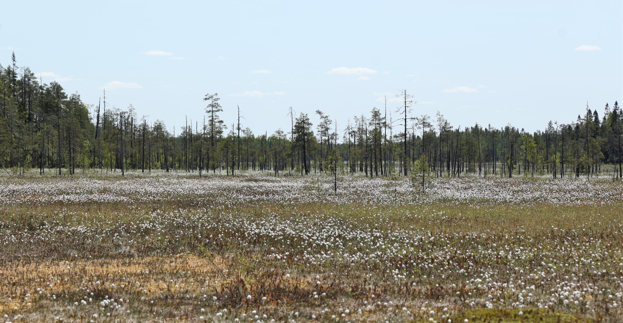 Valokuvaaja: Kaarina Heiskanen