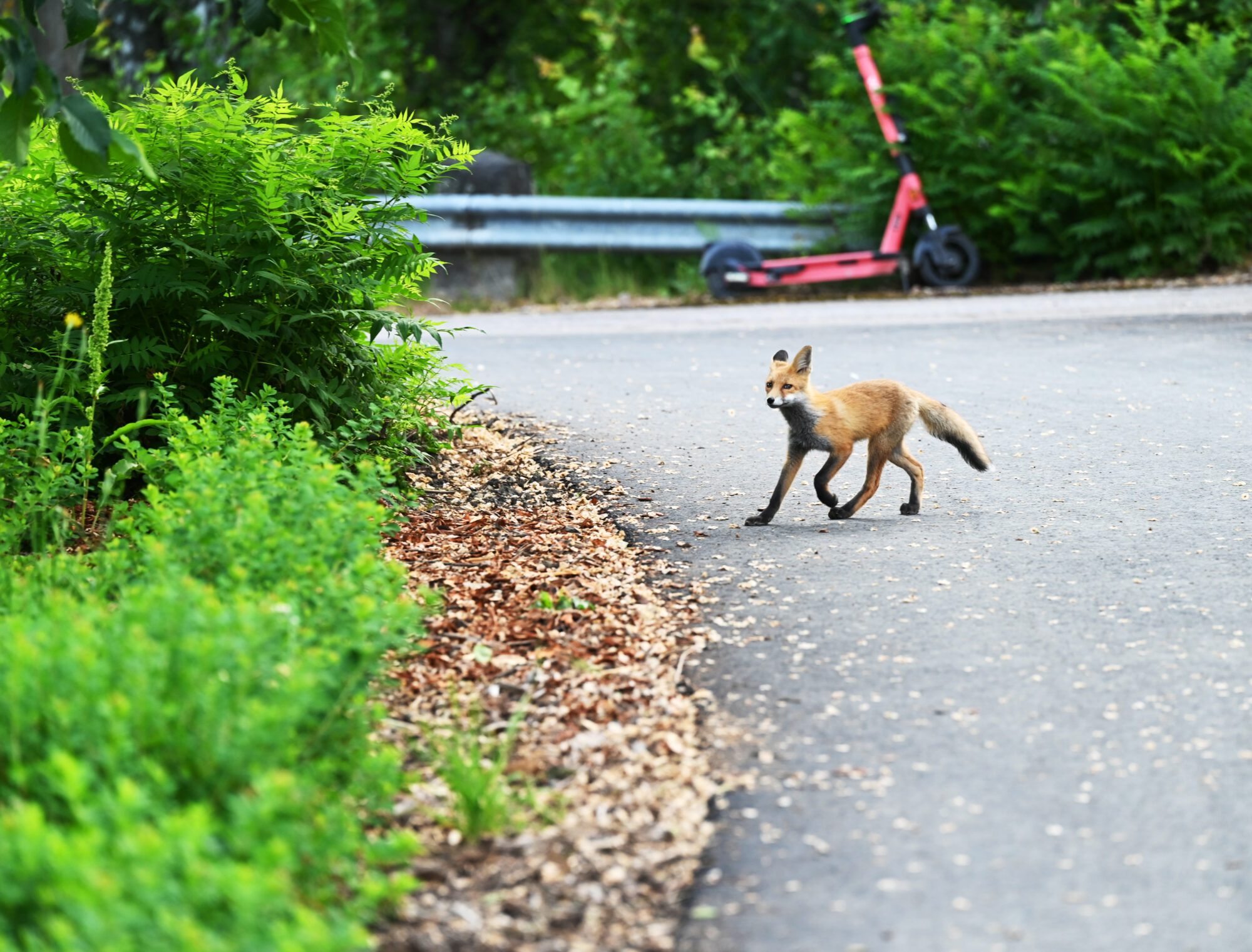 Valokuvaaja: Mika Tammenkoski
