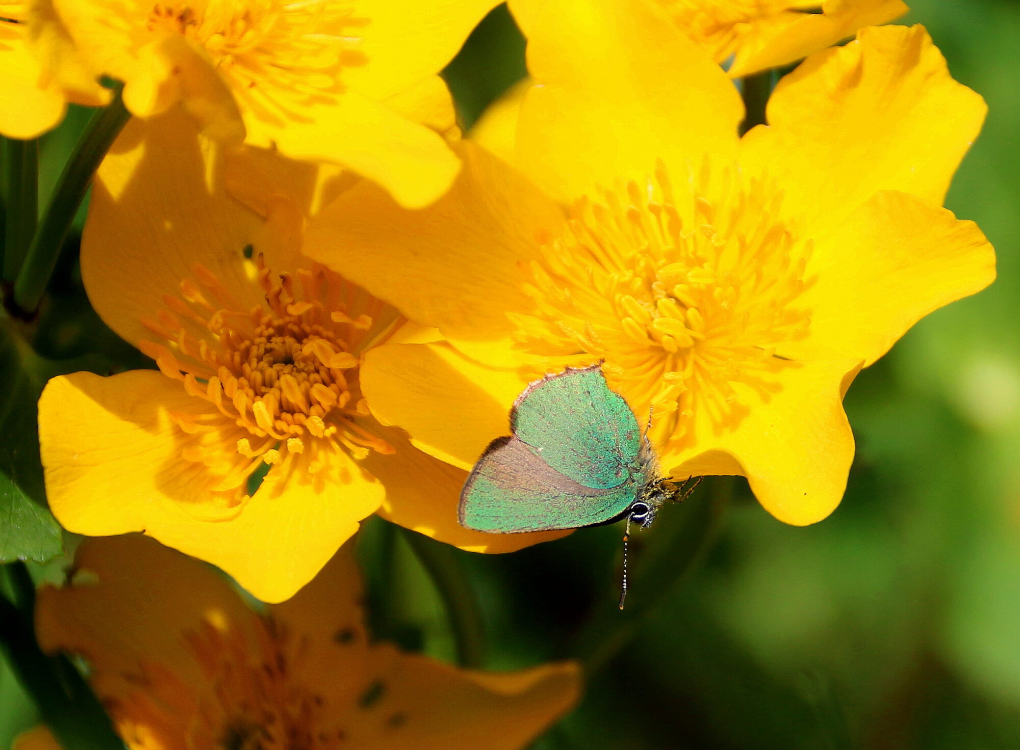 Valokuvaaja: Tuukka Pahtamaa