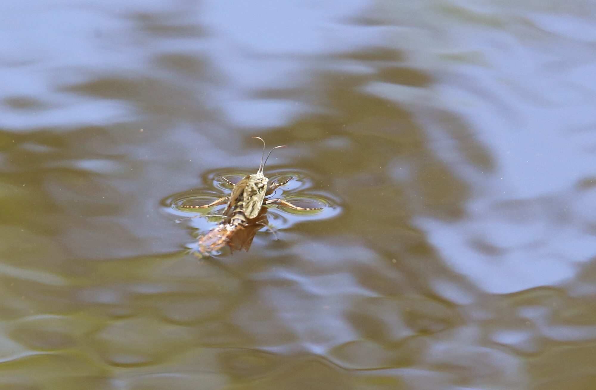Valokuvaaja: Jaana Saarelainen