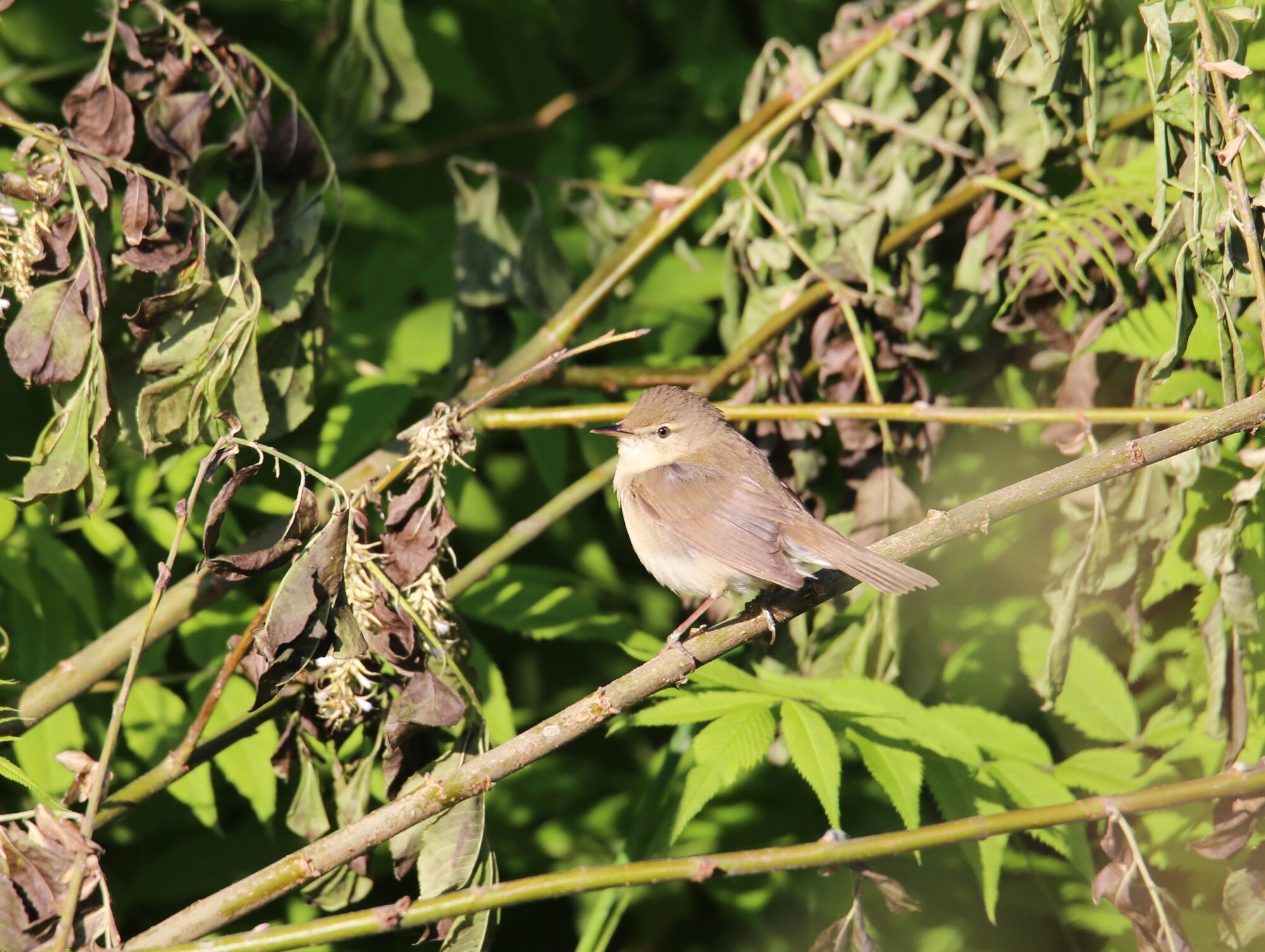 Valokuvaaja: Jaana Saarelainen