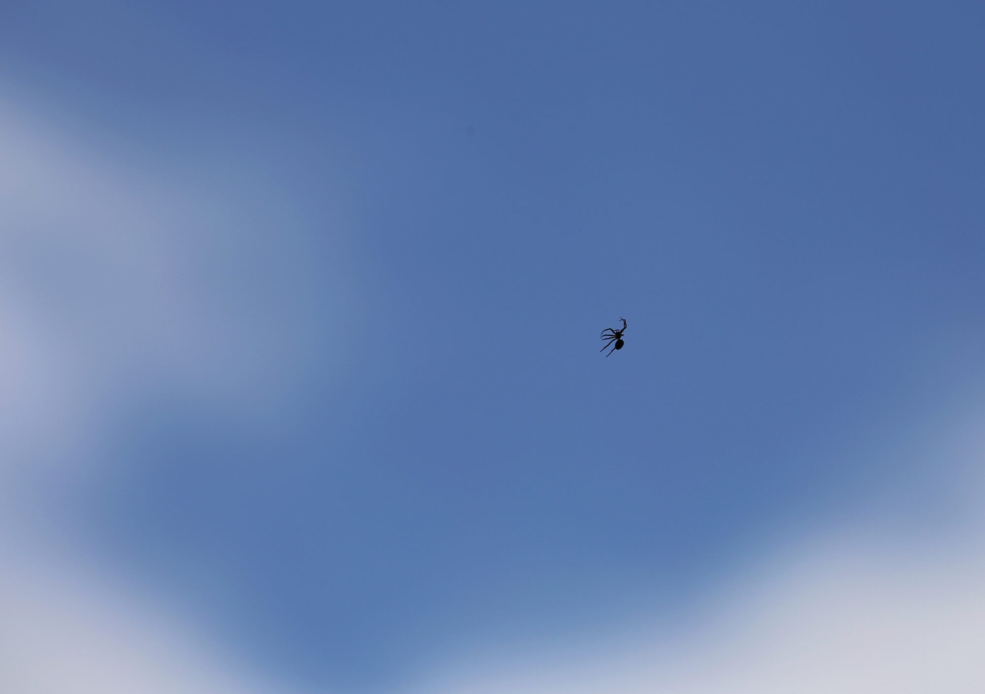 Valokuvaaja: Jaana Saarelainen