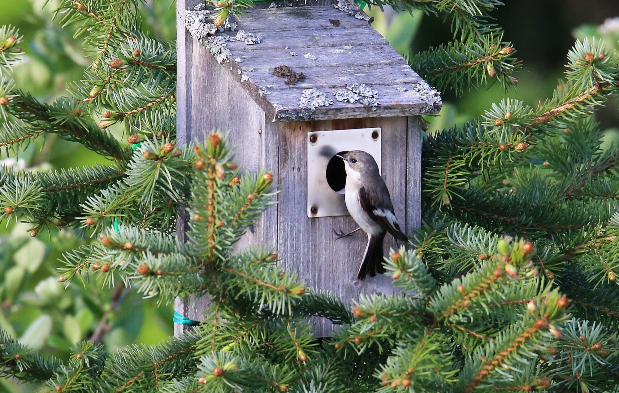 Valokuvaaja: Jaana Saarelainen