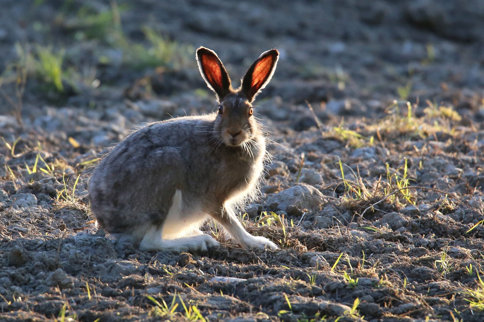 Valokuvaaja: Jaana Saarelainen