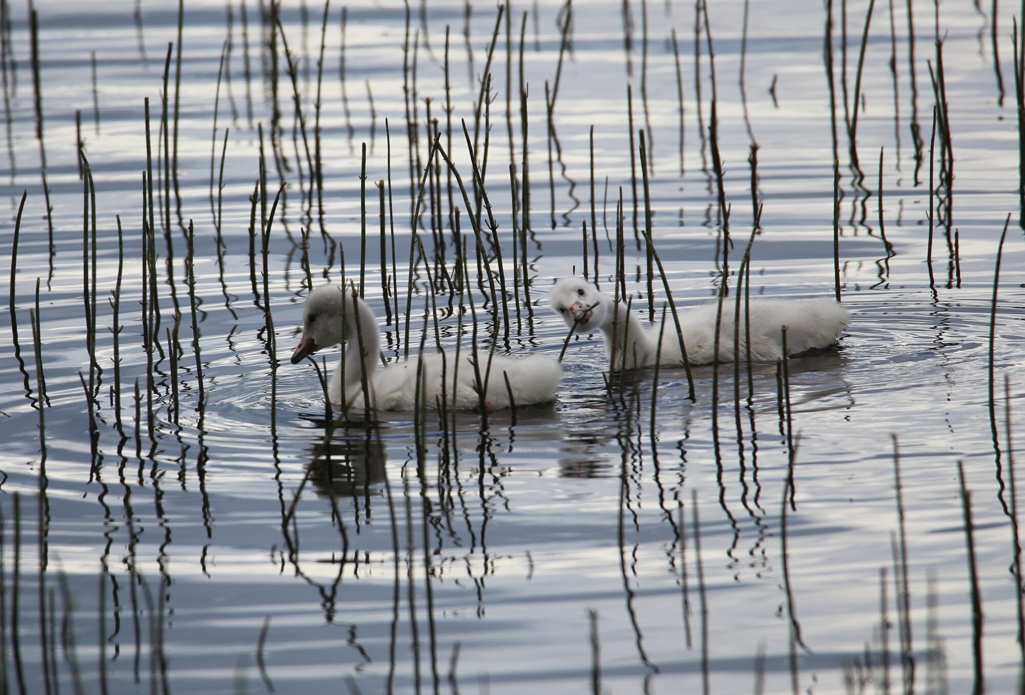 Valokuvaaja: Jaana Saarelainen